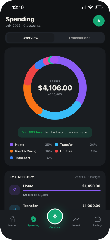 Cerebral spending breakdown screen